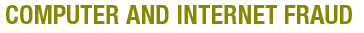 Computer and Internet Fraud